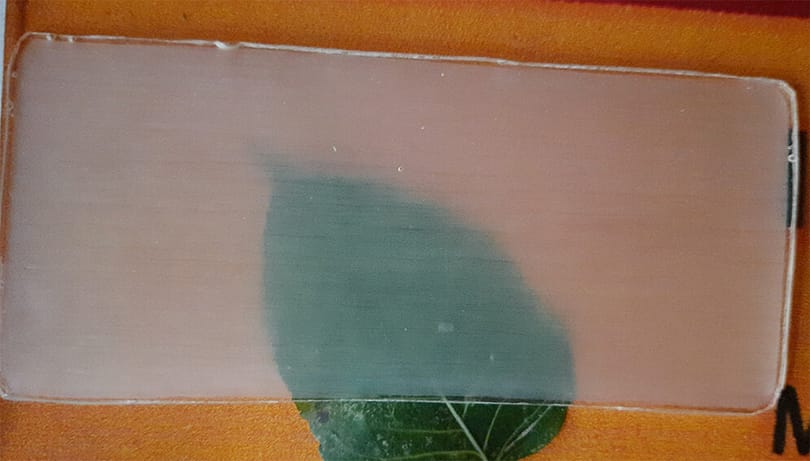 Megjött az átlátszó fa, autók szélvédője is készülhet belőle