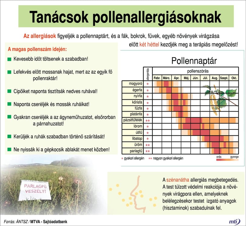 7 hasznos tipp allergiásoknak a lakásba