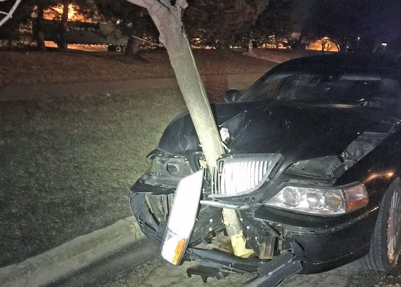 Ilyen nincs: egy 4,5 méteres fával a motorháztetőben autózott a részeg nő – videó
