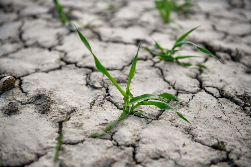 WWF: Hétfőre elfogynak a Föld éves erőforrásai