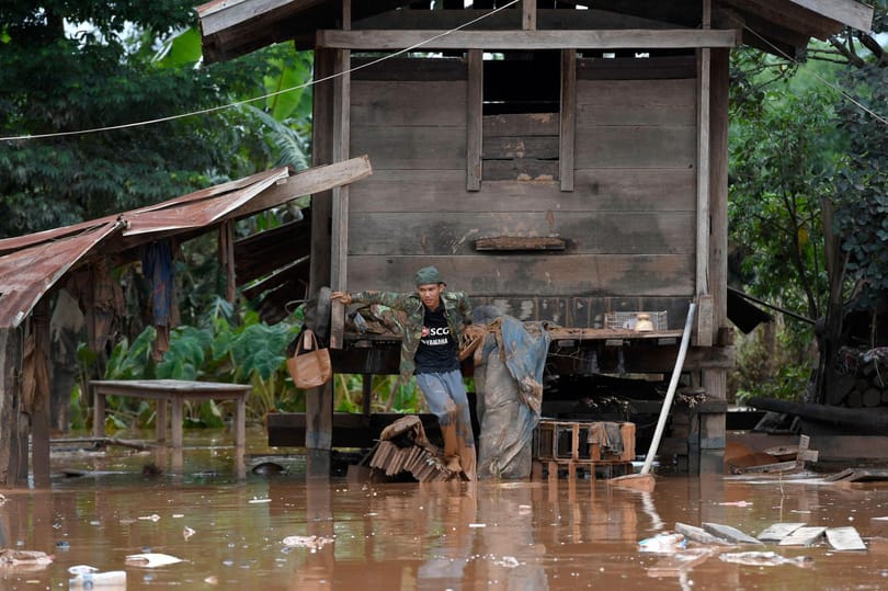 110 új növény- és állatfajt fedeztek fel a Mekong vidékén