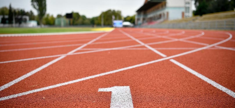 Gyarmathy Éva: A győztes visz mindent