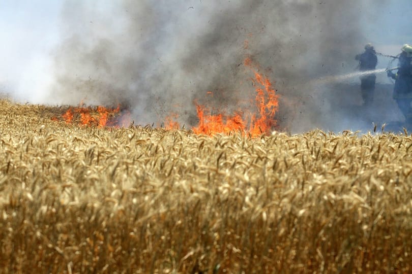 Negyven hektár szántóföld égett Barcs határában