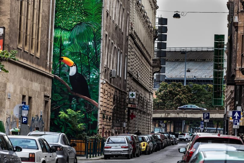 Fotó: Dzsungel termett a tűzfalra Újlipótvárosban