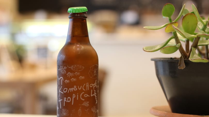 Sugárzóan jó hír: megjött az eredménye a nagy kombucha-kísérletnek a Nemzetközi Űrállomásról