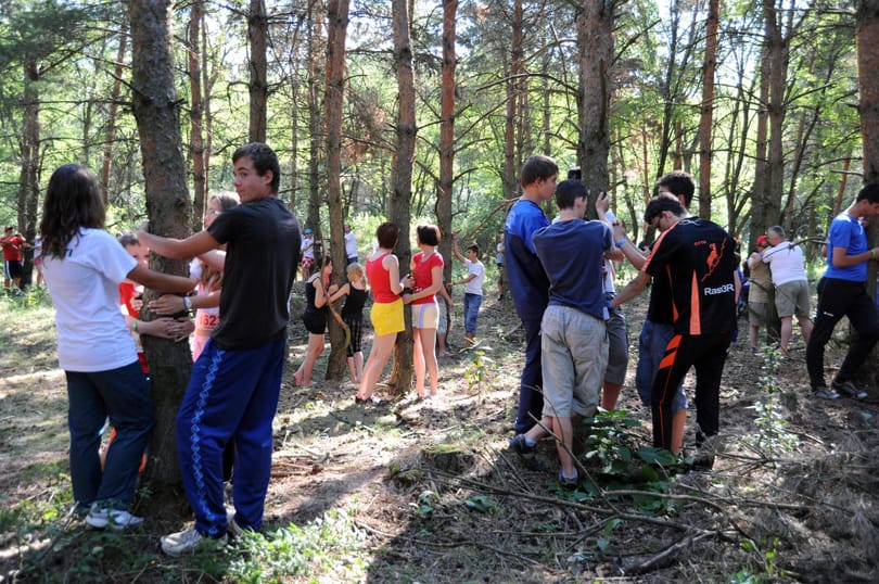 Hatszázan szorítottak magukhoz egy fát