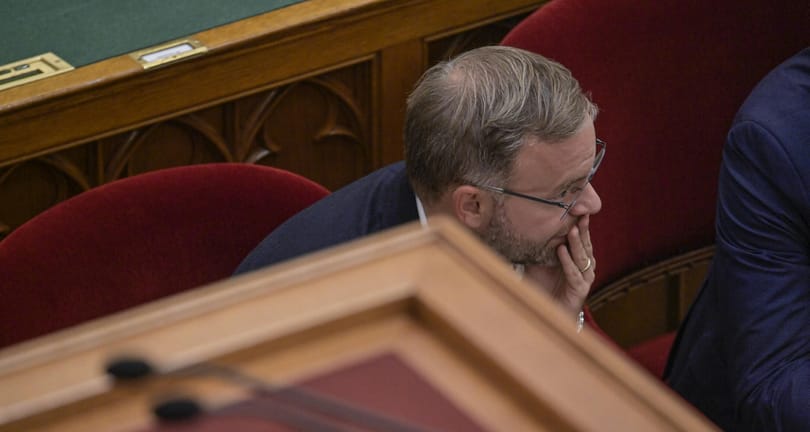 Kocsis Györgyi: Pávaszex