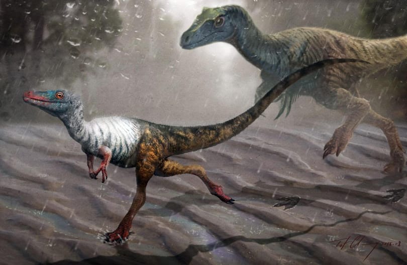 Ritka lelet került elő a dinoszauruszról, melynek mindössze 2 centis talpa volt