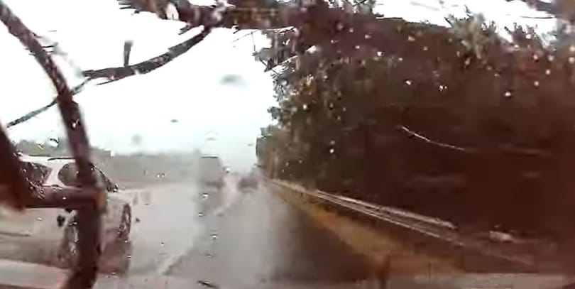 Videón a pillanat, amikor a hétfői viharban egy hatalmas fa zuhant egy autóra az M7-esen