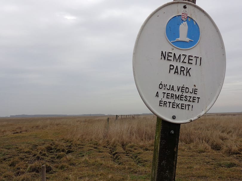 Ürülékkel árasztottak el egy hortobágyi nádast