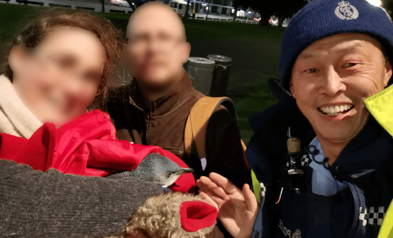 Pingvineket fogtak a wellingtoni rendőrök
