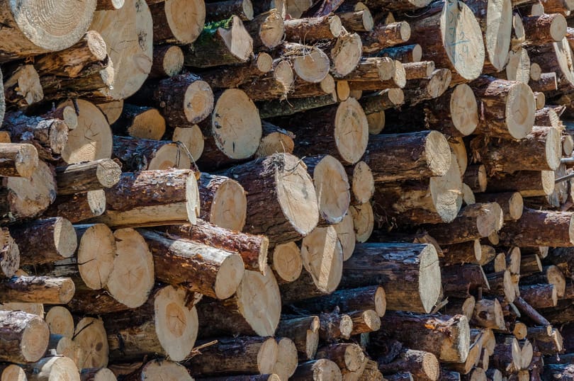 Energiaválság: nincs pénze egy falunak az ingyen tűzifára, a másiknak meg a fűtésszámlára