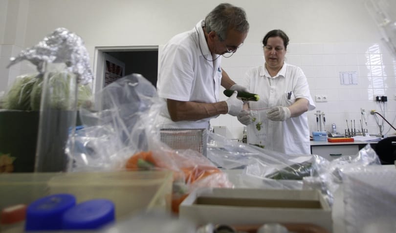 Meghalt az első kóli baktériumtól fertőzött beteg Franciaországban