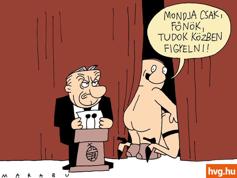Marabu FékNyúz: Libben a függöny