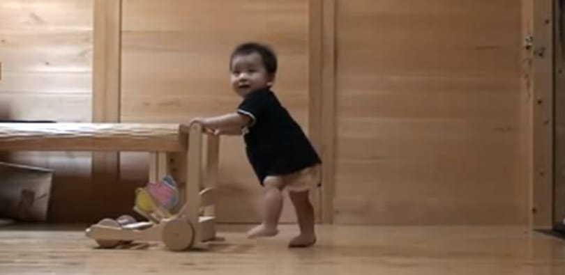 Videó: így tanítja járni a cica a babát