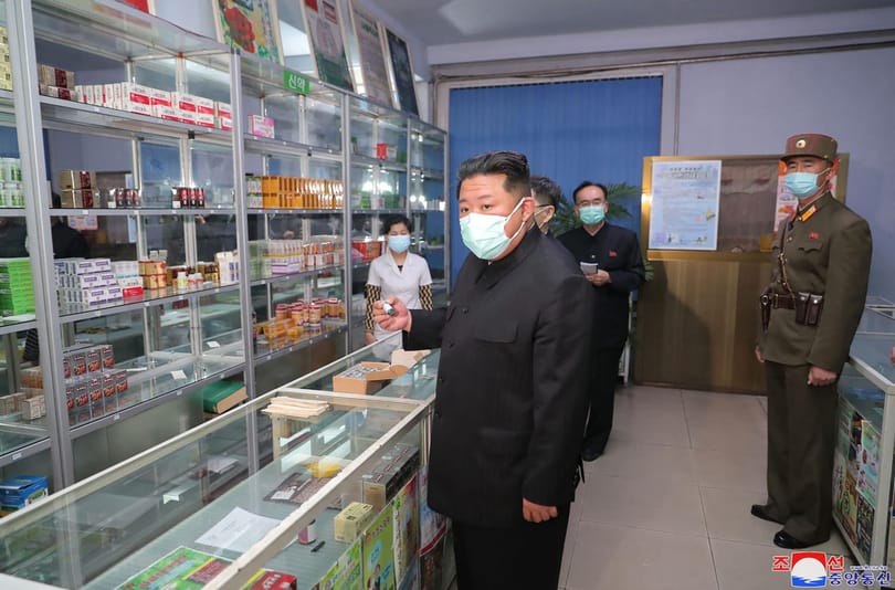Fűzfakéreg, japán lonc – így küzd az eddig tagadott Covid ellen a 