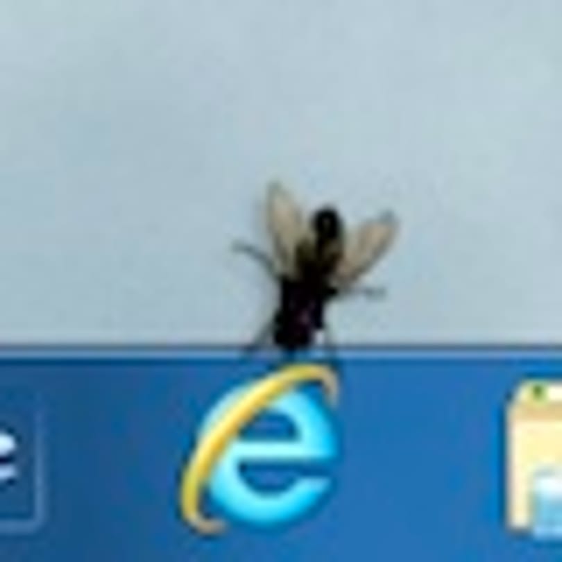 Tréfálja meg barátait: élethű legyek a Windows Asztalon