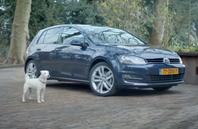 Amikor a kiskutya VW Golf akar lenni - videó