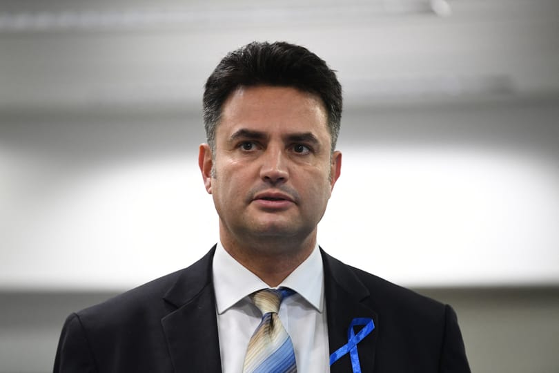 Márki-Zay Péter viccből a Fidesz náci alosztályának nevezte a Mi Hazánkat