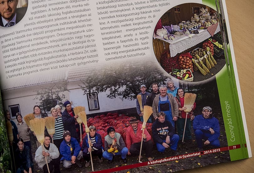 Boldog Magyarország: ontják a közmunkások a buszmegállókat