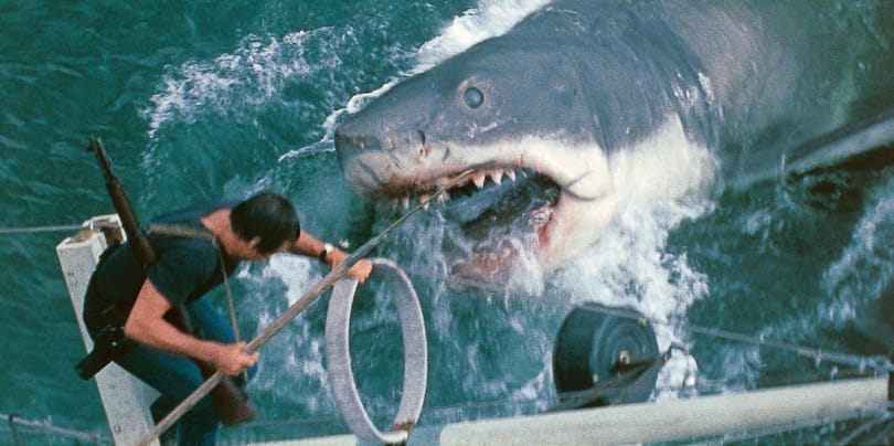 Spielberg félt, hogy a frusztrált stábtagok vízbe vetik, mégis megírta a nyári kasszasiker receptjét