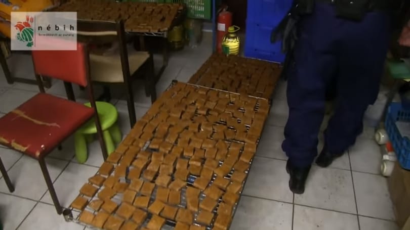 Két tonna tofunak annyi – patkánymérget is találtak az alapanyagon