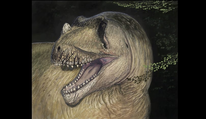 Lebombázták a II. világháborúban, így aztán csak most, 111 éves fotókon találtak egy új dinoszauruszt