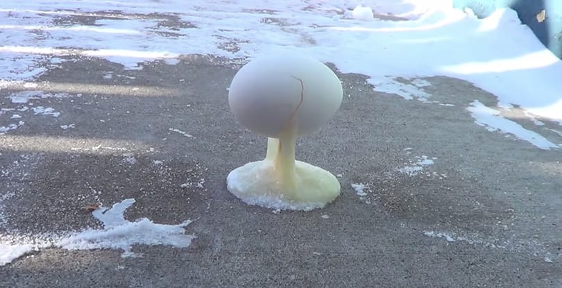 Videó: Megcsinálták a nyári tojásos trükk téli verzióját, -32 Celsius-fokos hidegben