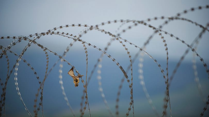 Kurd lázadók három török katonát öltek meg