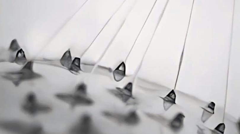 A pókselyem erős és gyógyít – most már laborban is létre tudják hozni