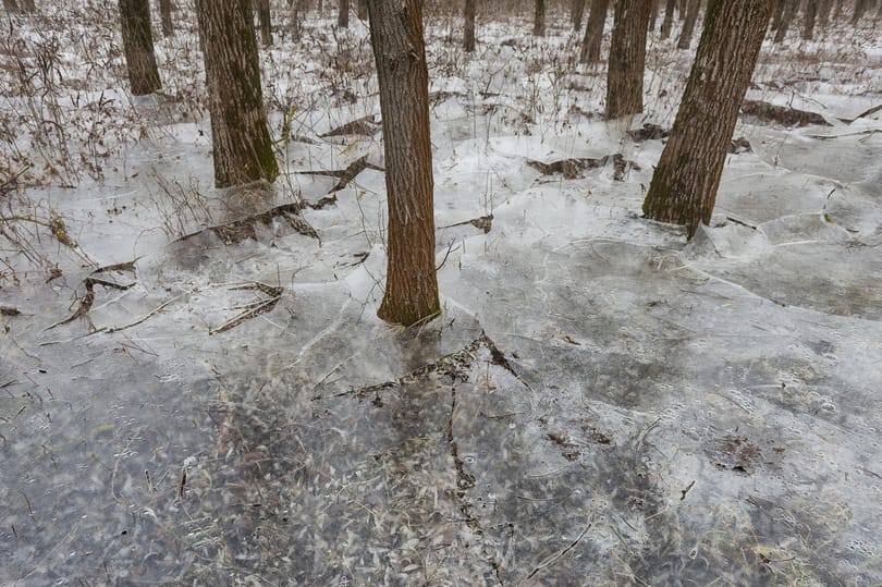 Törékeny emléket hagyott maga mögött az apadó Tisza