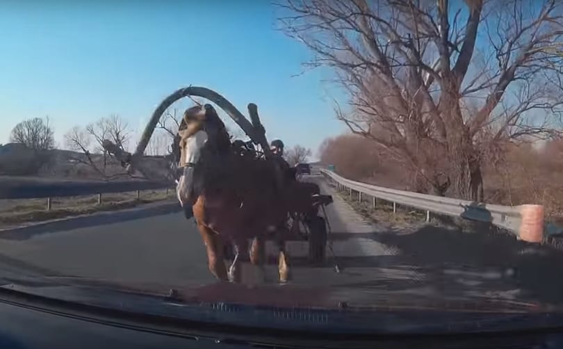 Lovaskocsi ütközött autóval Kiskunmajsa és Tázlár között