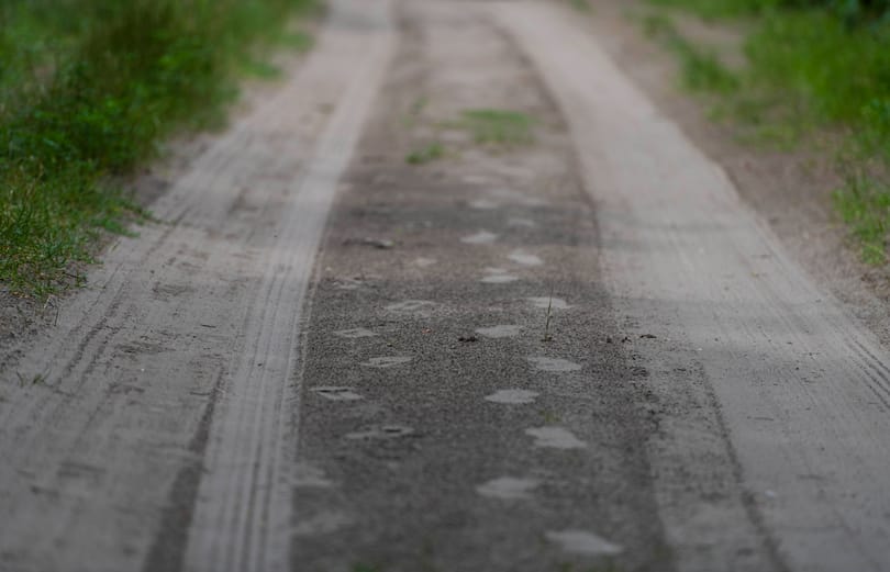 Árokba csapódott a rendőrök elől menekülő teherautó, húszan megsérültek Üllőnél