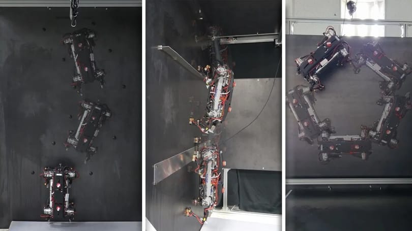 A falra is képes felmászni az új robotkutya – videó