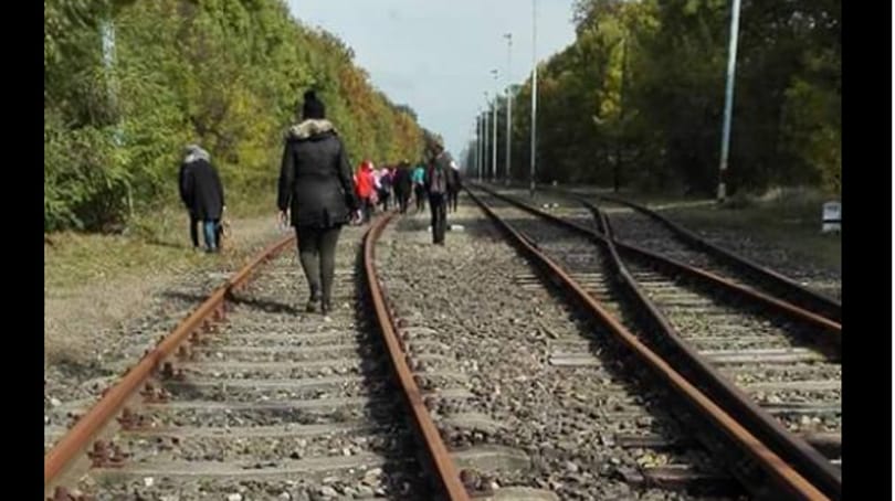 Migránsoknak néztek egy Erasmus-diákcsoportot a déli határnál, rendőrt hívtak rájuk
