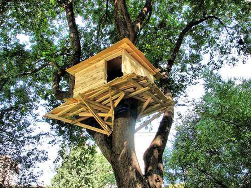 8 extrém házikó a lombkorona tetetején - gigantikus tákolmányok