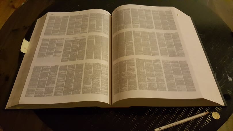 Történelmi krimi, nyelvészeti thriller az 