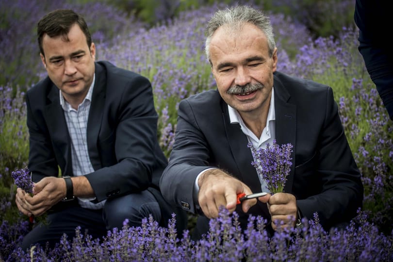 Az agrárminiszter hadat üzent a műhúsoknak