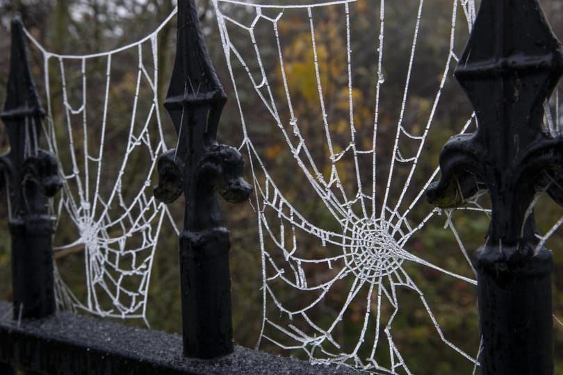 Röpködtek a mínuszok hajnalban, Zabaron megdőlt a szezonrekord