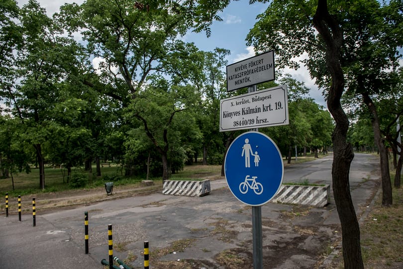 Elkezdődik a Népliget felújítása