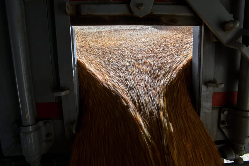 Kósa Lajos családjának agrárcége nagyot lépett előre