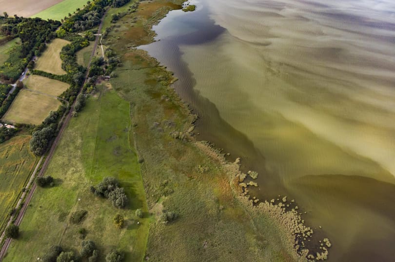 Földvárnál megint elkezdett algásodni a Balaton