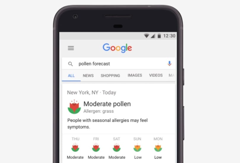 A Google ezúttal az allergiásoknak szolgál némi jó hírrel