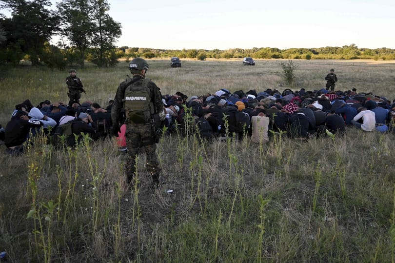Népszava: Összeollózott, propagandisztikus anyag a déli határról szóló titkosszolgálati jelentés