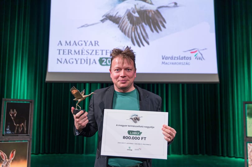 Átadták a magyar természetfotó nagydíját, itt meg is lehet nézni a legszebb munkákat