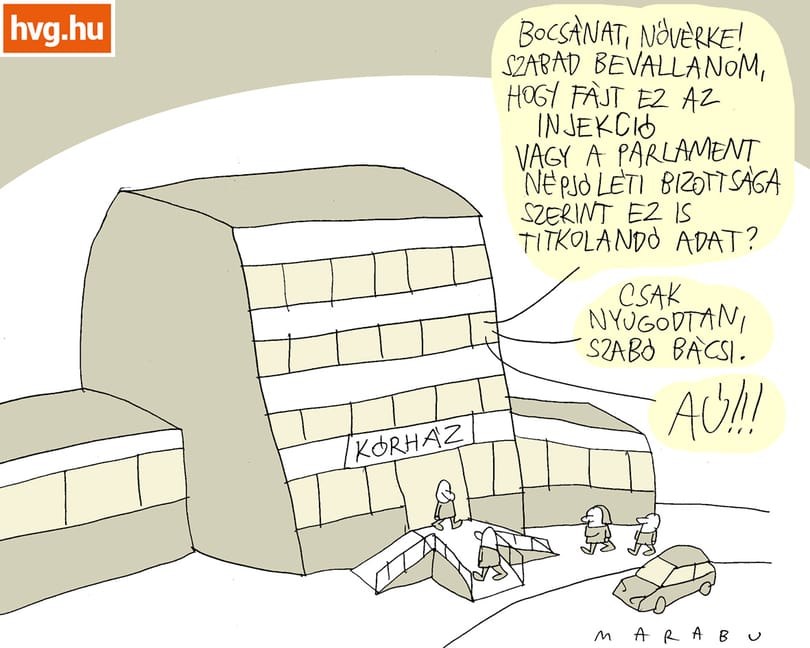 Marabu Féknyúz: Kórházi titkaink