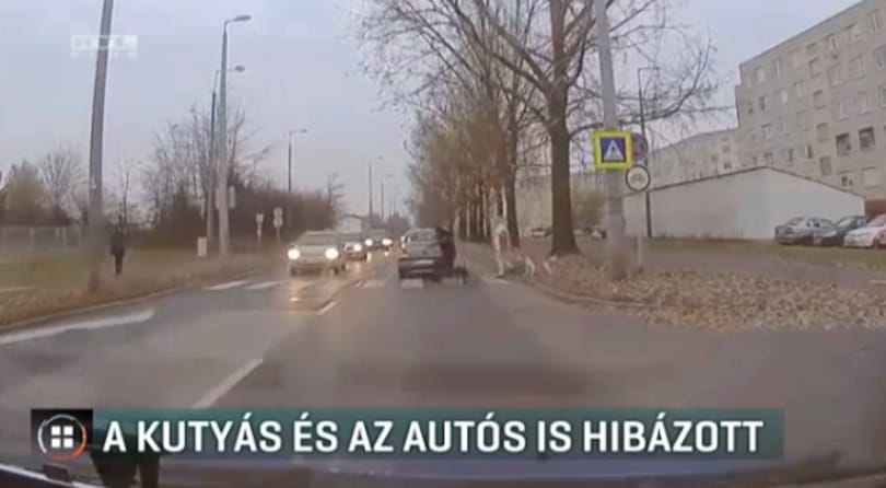 Botot hajítottak egy kocsi után, mert nem állt meg a zebránál, és majdnem kutyát gázolt – videó