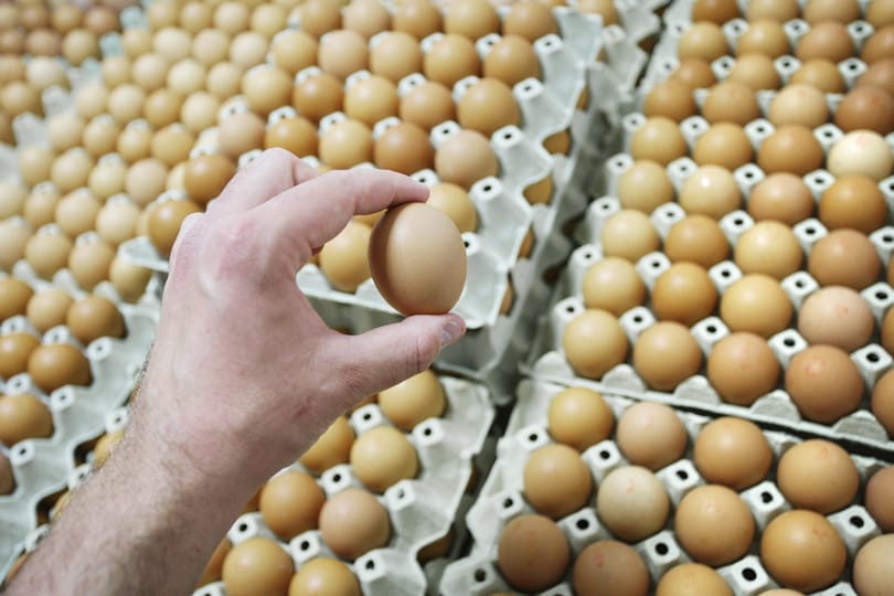 Húsvétkor se mérgezzük meg a családot! – Tippek húsvéti tojásfestéshez