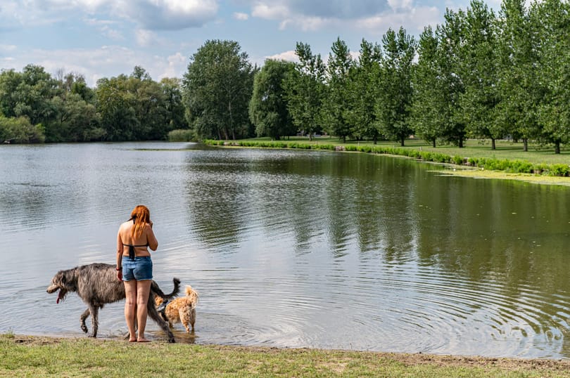 Csak a Tisza-tóból napi egymillió köbméter víz párolog el a kánikulában