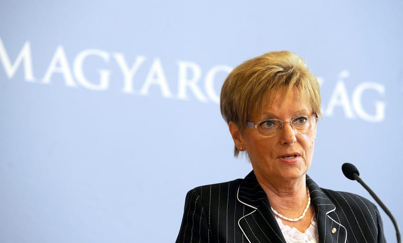 Hoffmann Rózsa tervét bírálták